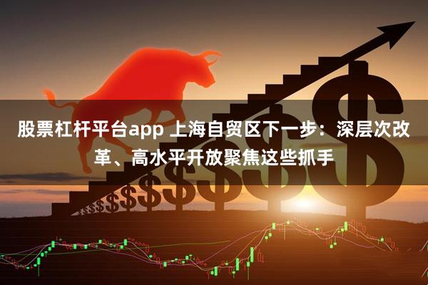 股票杠杆平台app 上海自贸区下一步：深层次改革、高水平开放聚焦这些抓手