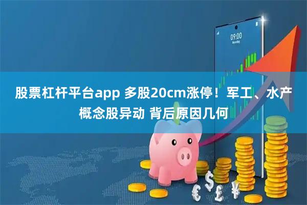 股票杠杆平台app 多股20cm涨停！军工、水产概念股异动 背后原因几何