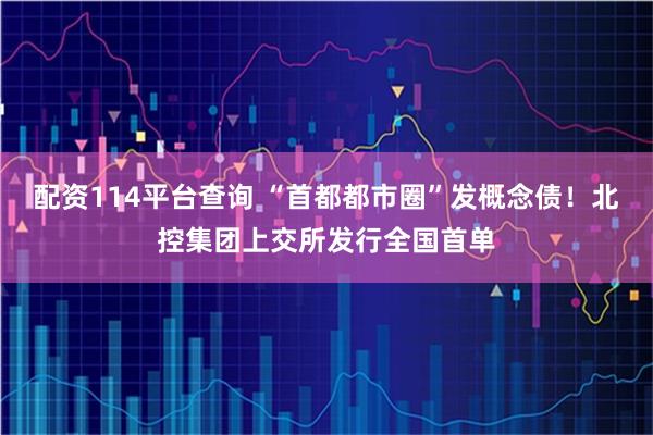 配资114平台查询 “首都都市圈”发概念债！北控集团上交所发行全国首单